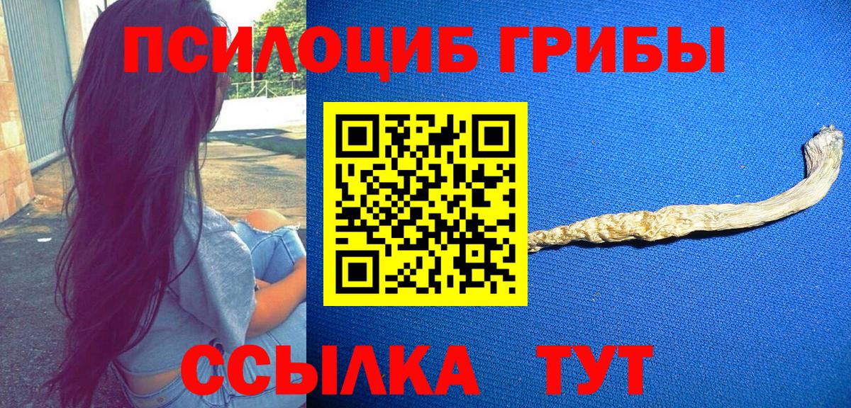Псилоцибиновые грибы MAGIC MUSHROOMS  Вход с VPN  Славянск-на-Кубани  магазин продажи наркотиков  Псилоцибиновые грибы Magic Shrooms 
